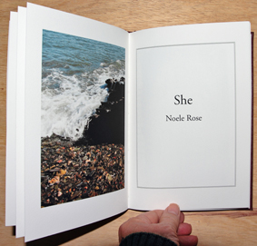 she artist's book