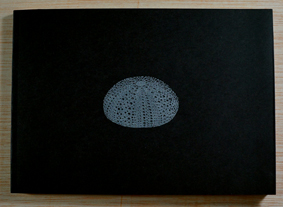 Prot artists book