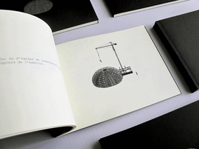 Prot artists book